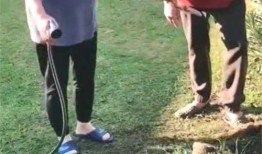 洋大葱 洗澡在线观看,一场别开生面的网络奇遇