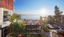 史上最新爆料小绿屋是谁,史上最新爆料，小绿屋究竟是谁？